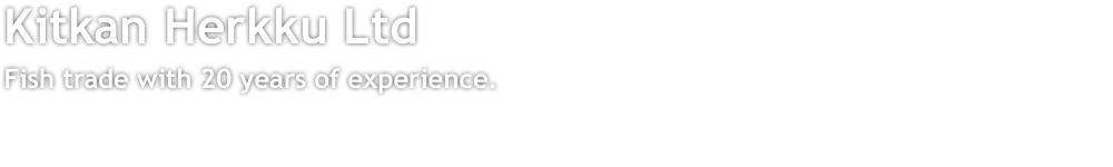 company headline en